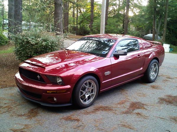 TRUFIBER HOODS for Those with GT500 front Fascia!-venom1024.jpg