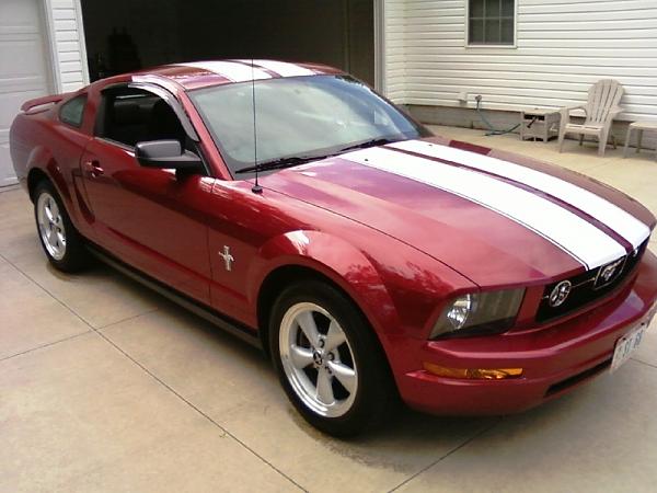 Thinking of replacing grille with this...-stang-striped-08.jpg