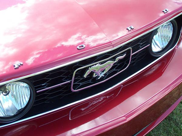 anyone put the &quot;ford&quot; emblem on the hood?-hood.jpg