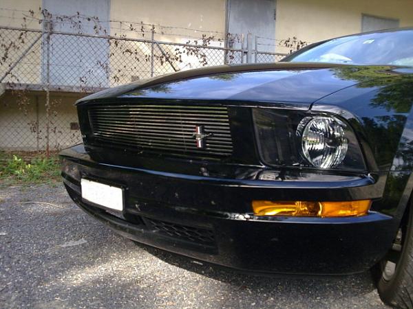 Thinking of replacing grille with this...-3d-car-grill.jpg