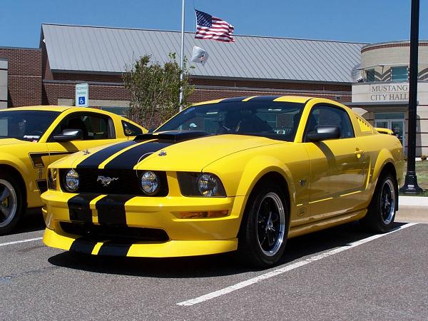 Aggressive Chin Spolier-slim.jpg