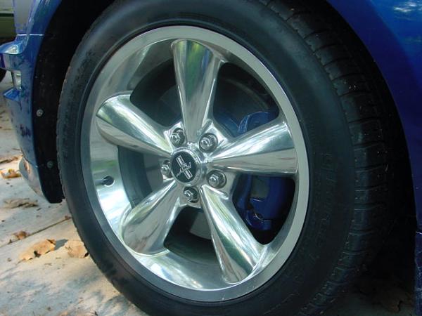 GT/CS Painted Brake Calipers-mustang-hi-res-037.jpg