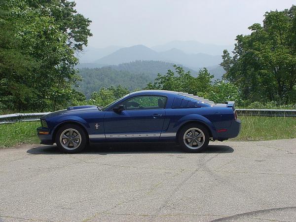 Spoiler Poll-scenic.jpg