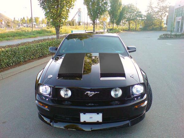 Should I get matte black stripes?-untitled-1.jpg