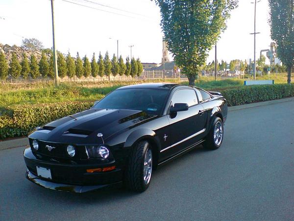 Should I get matte black stripes?-midstripe.jpg