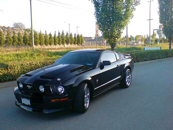 Should I get matte black stripes?-fullstripe.jpg