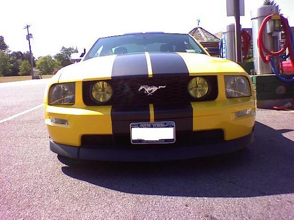 Wash &amp; waxed her today!-stang-2.jpg