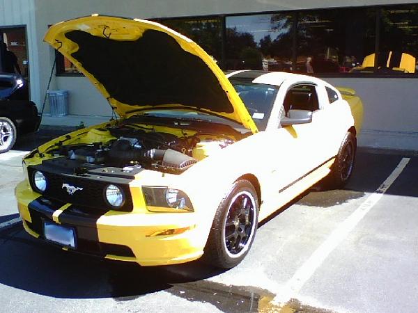 SHOW US YOUR WHEELS 2005-2009 S-197 GEN 1 Only *-090708.jpg