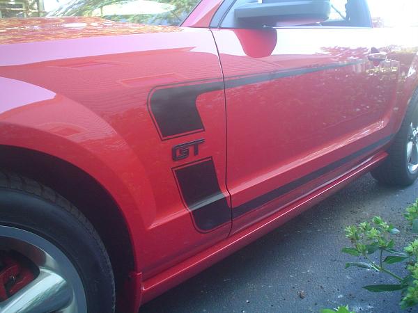 Fender Emblems-dsc03256a.jpg