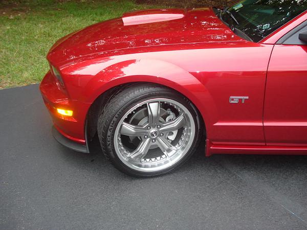 20x9 Shelby Razors-dsc00439-2-.jpg