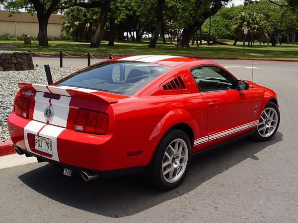 Honeycomb rear facia with Shelby Stripes-dsc06251.jpg