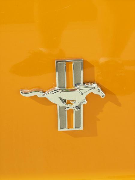 Anyone have the SHR rear medallions ? ? ? ?-dscn4873.jpg