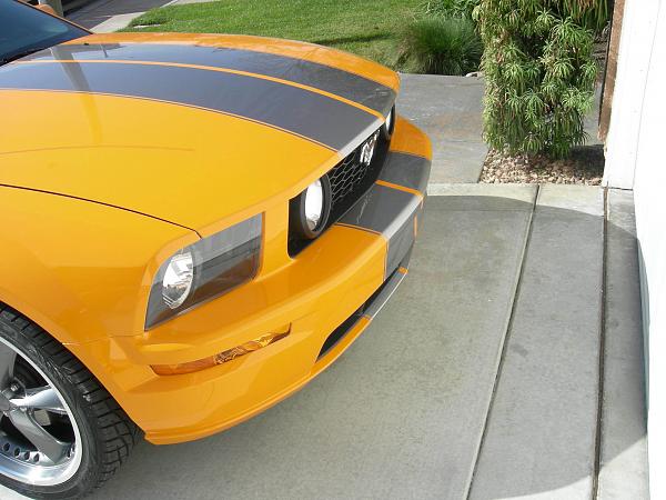 Anyone have the SHR rear medallions ? ? ? ?-dscn4874.jpg