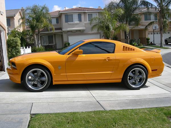 Anyone have the SHR rear medallions ? ? ? ?-dscn8825.jpg