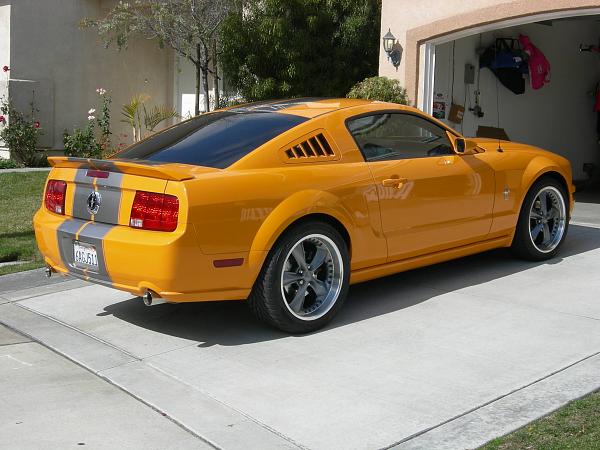 Anyone have the SHR rear medallions ? ? ? ?-dscn8830.jpg