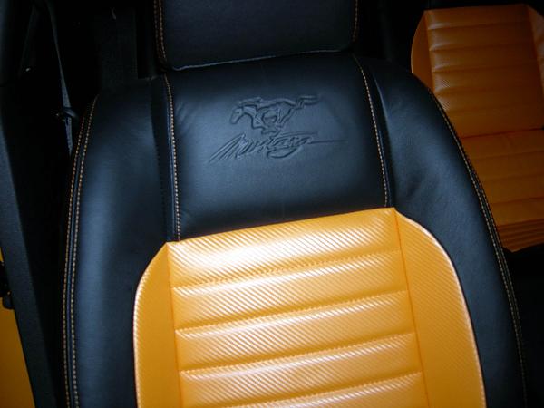 Anyone have the SHR rear medallions ? ? ? ?-dscn9891.jpg