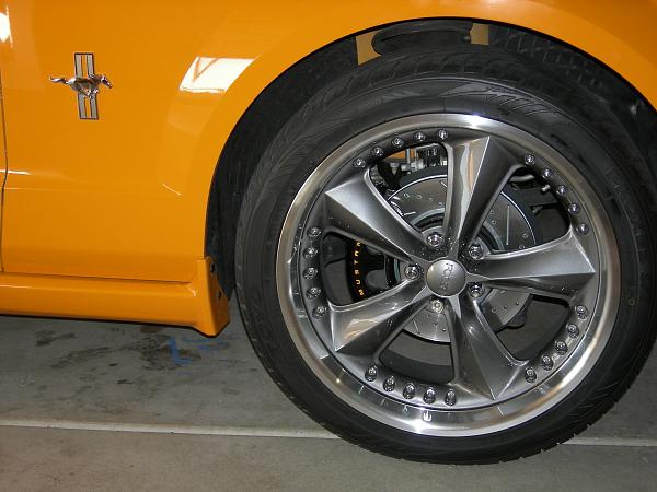 Anyone have the SHR rear medallions ? ? ? ?-dscn9089.jpg