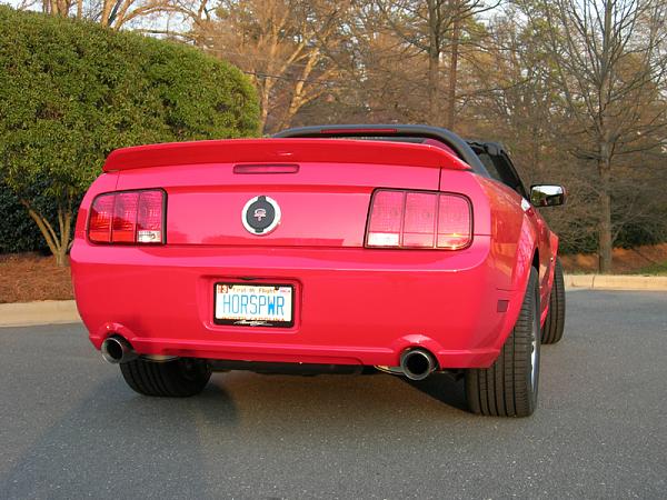 Anyone have the SHR rear medallions ? ? ? ?-mmustang3.jpg