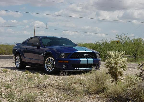 Blacked out vista pics?-05069.jpg