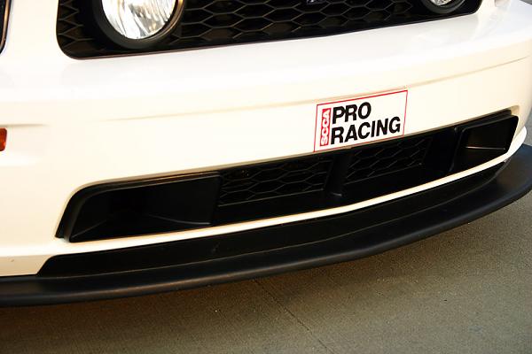 Painted Chin-img_7634-web.jpg