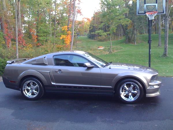 Stripes or no stripes?-mustang-2008-001-2-.jpg
