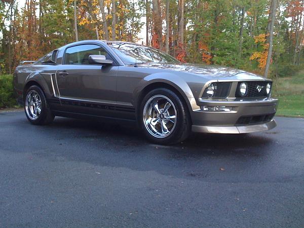 Stripes or no stripes?-mustang-2008-003-2-.jpg