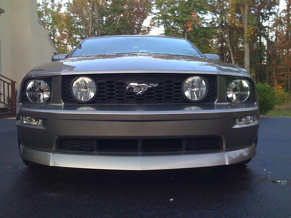 Stripes or no stripes?-mustang-2008-009-2-.jpg