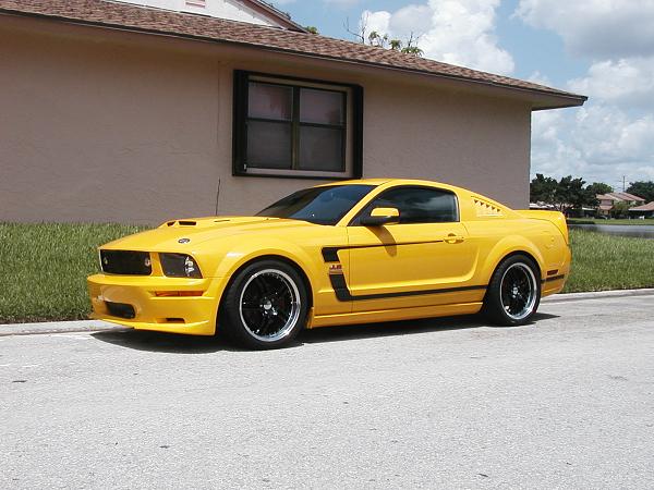 Anyone with the CS6 Fascia or grille?-shelbycs6stripes-9-.jpg