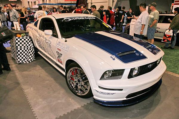 Chin Spoiler Options-img_6028.jpg