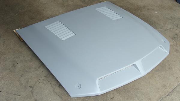 TRUFIBER GTS-3 Hood w/ Recess !!!-dsc03391.jpg