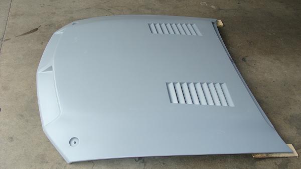 TRUFIBER GTS-3 Hood w/ Recess !!!-dsc03392.jpg