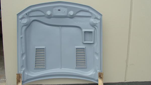 TRUFIBER GTS-3 Hood w/ Recess !!!-dsc03396.jpg