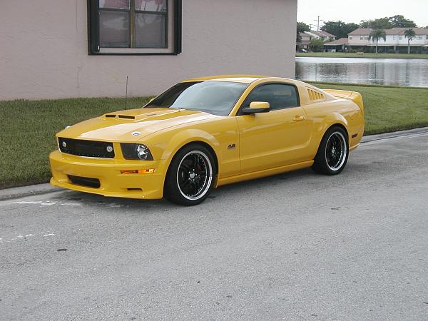 Help finding 2005-2009 Hood-shelbycs6fascia-4-.jpg