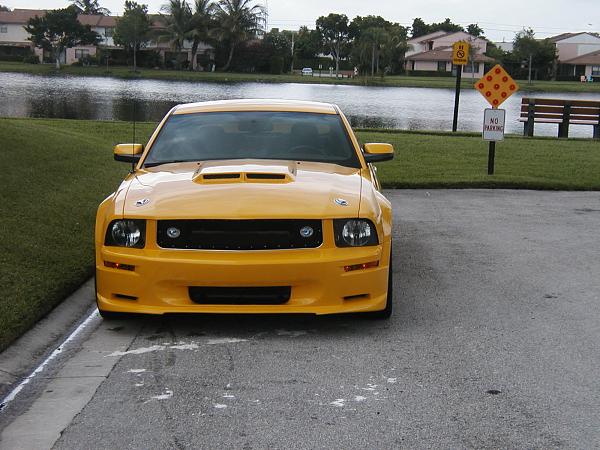 Help finding 2005-2009 Hood-shelbycs6fascia-1-.jpg