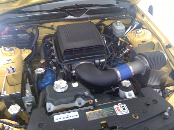 which engine bay(mods) looks best-026.jpg