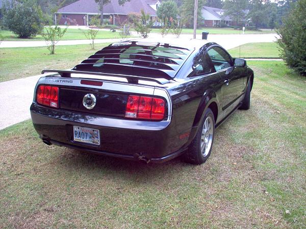 Rocker stripes?-gg-mustang-002.jpg