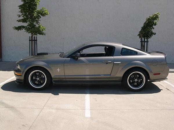 Mustangs and Snakes-gray-20pony.jpg