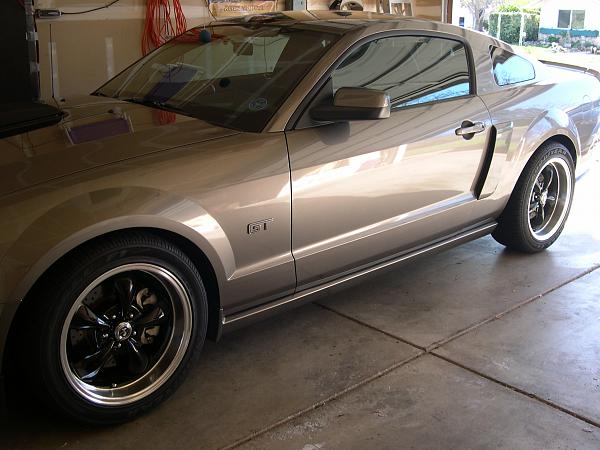 Mustangs and Snakes-stripe-delte-001.jpg