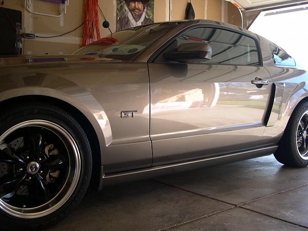 Mustangs and Snakes-stripe-delte-002.jpg