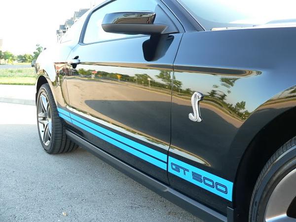 Mustangs and Snakes-094.jpg