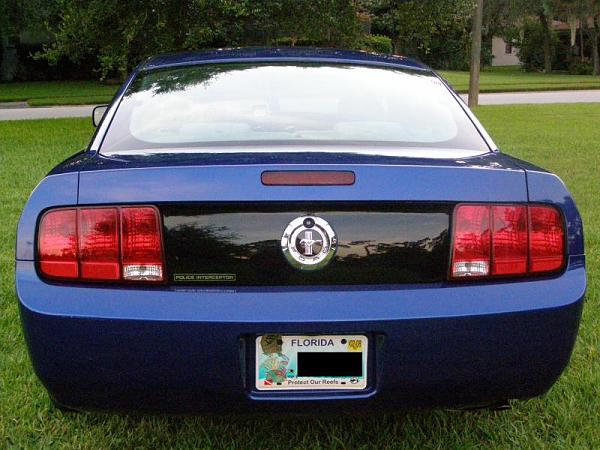 Anyone with blue mustang and blackout panel and tinted lights?-p7080022.jpg