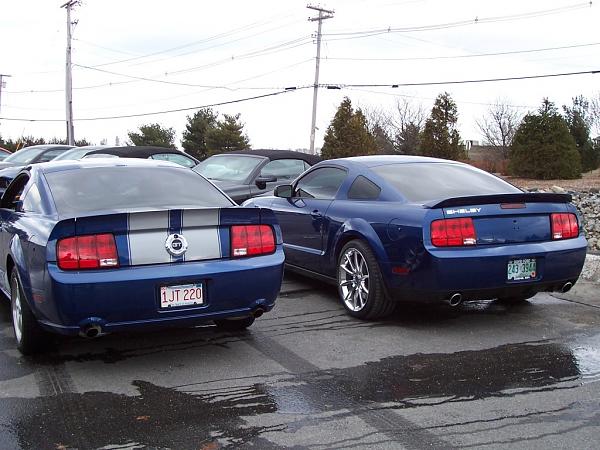Anyone with blue mustang and blackout panel and tinted lights?-copyofmustang010.jpg
