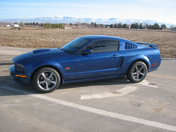 Anyone with blue mustang and blackout panel and tinted lights?-img_0148.jpg