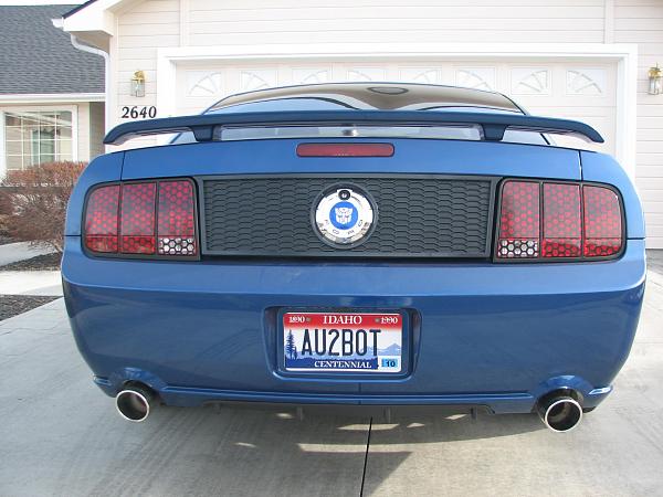 Anyone with blue mustang and blackout panel and tinted lights?-img_0116.jpg