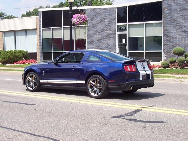 Any pics of '05-'09s with 2010 GT500 wheels?-2009-woodward-dream-cruise-001.jpg