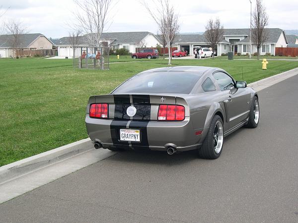 Let's see your SHR Tru-Billet Rear Medallions-shr-006.jpg