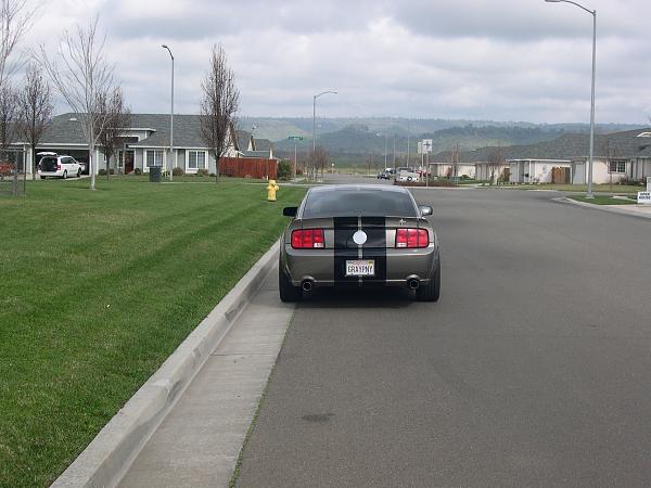 Let's see your SHR Tru-Billet Rear Medallions-shr-010.jpg