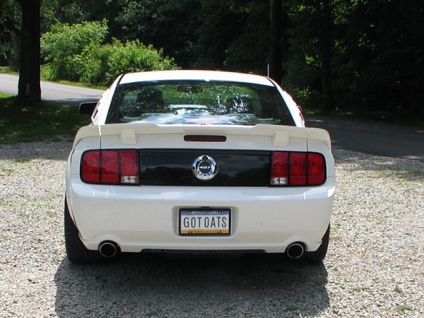 Silver Horse Racing Black Tail Light Trim-img_1433-800x600-.jpg