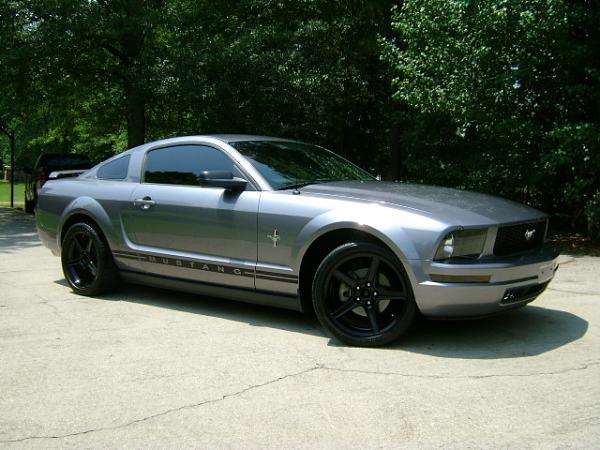 Need an honest opinion-dsc00380.jpg