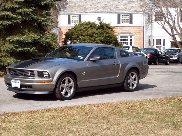 Need an honest opinion-mustang12.jpg